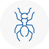 Ant Removals In Stamford