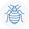 Bed Bug Extermination In Stamford