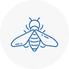 Bee Nest Removal Stamford