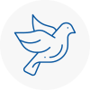 Bird Prevention Stamford