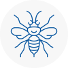 Stamford Hornet Nest Removals