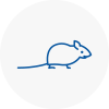 Mice Exterminators In Stamford
