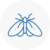 Moth Control Specialists In Stamford