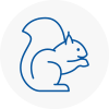 Stamford Rodent Removals