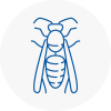 Stamford Wasp Nest Removal